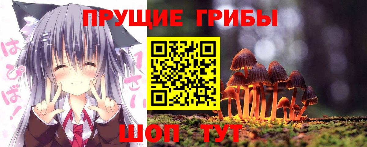 Киселёвск  Псилоцибиновые грибы Psilocybe  Псилоцибиновые грибы MAGIC MUSHROOMS  Вход с VPN 